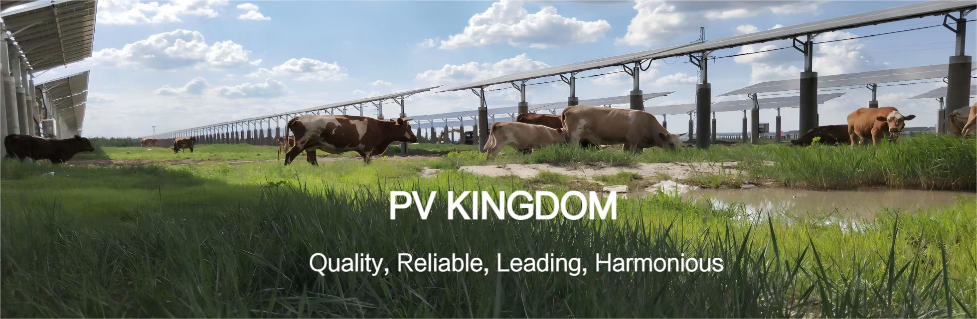 품질 지붕 태양광 시스템 공장